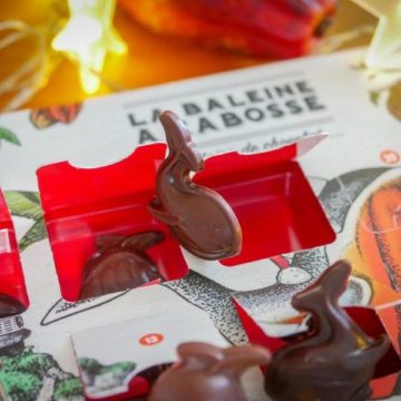 Calendrier de l'avent thermoformé baleine cabosse