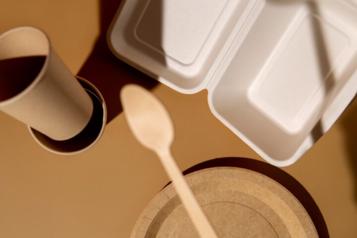emballage bagasse inconvenients